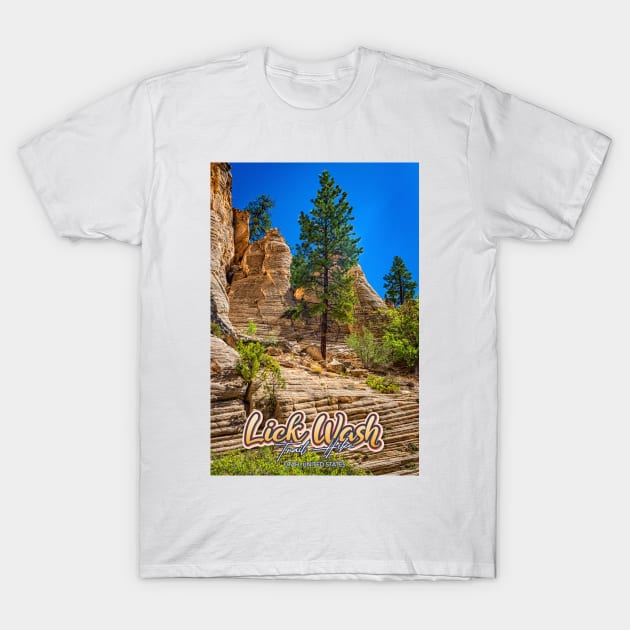 Lick Wash Trail Hike T-Shirt by Gestalt Imagery